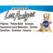 Logotipo Semilleria Los Amigos