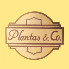 Logotipo Vivero Plantas & Co