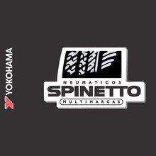 Logotipo Automotores Spinetto