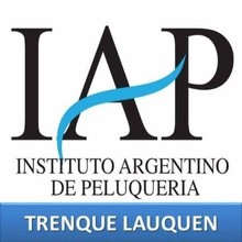 Logotipo Instituto Argentina De Peluqueria