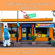 Logotipo Semilleríay Forrajería Don Pino