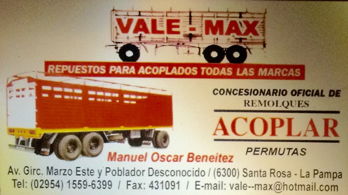 Logotipo VALE  MAX