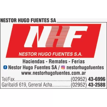 Logotipo Nestor Hugo Fuentes Sa